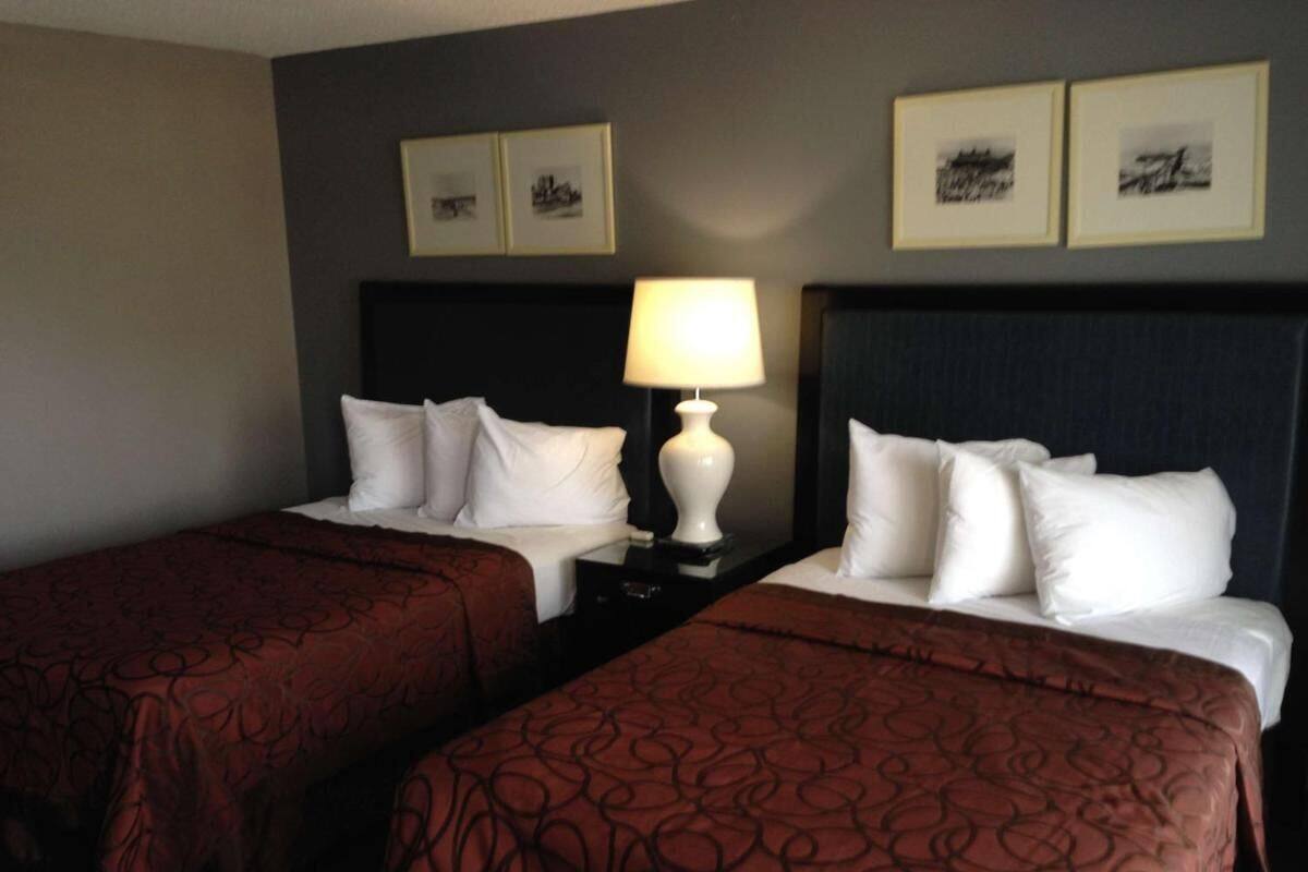 A hotel room with two beds, each with a patterned bedspread and white pillows. There is a nightstand with a lamp between the beds. The walls are adorned with framed pictures.