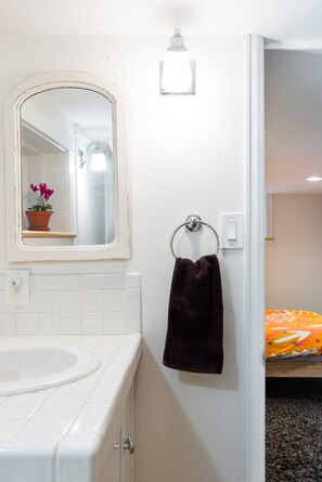 A bathroom with a white sink, a mirror, a towel ring, and a potted plant.