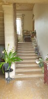 Una escalera con plantas en macetas y una silla de madera.