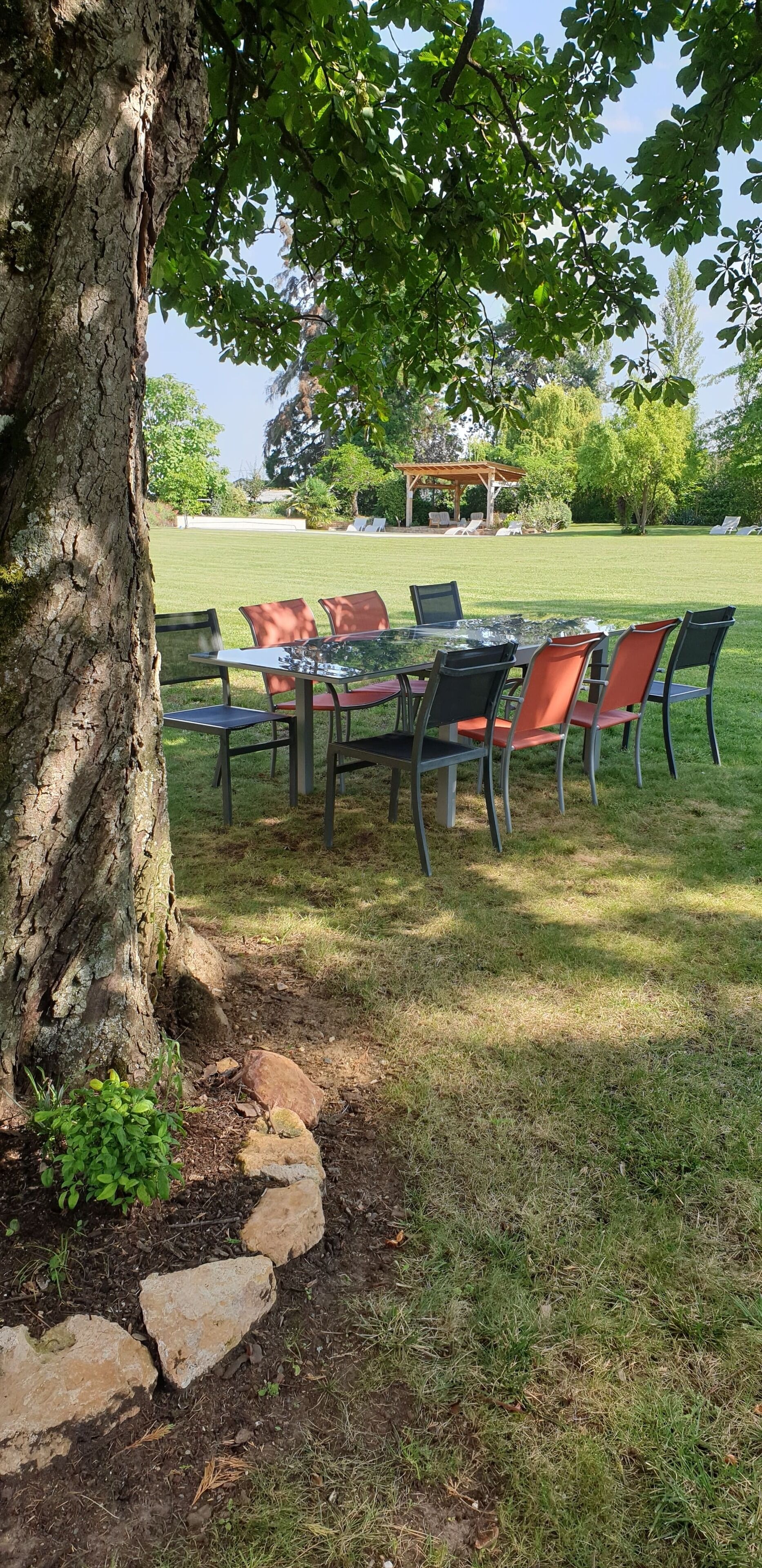 Un espacio al aire libre con mesa y sillas de vidrio, rodeado por un césped y un árbol.