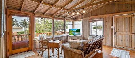 Smart TV, fireplace, books