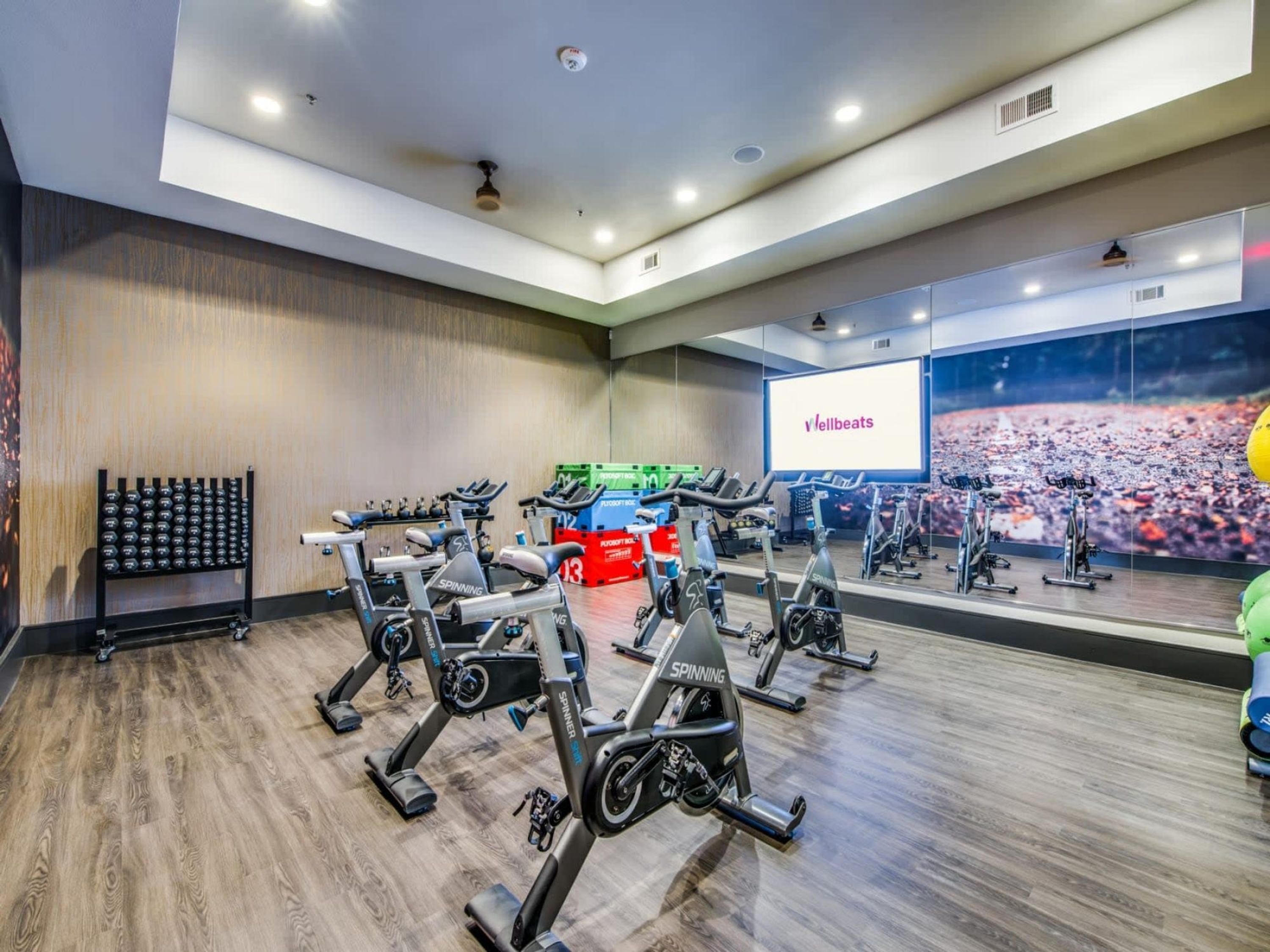 A gym with multiple stationary bikes, a large mirror, and a projection screen displaying 'Wellbeats'.