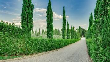 Parco della struttura