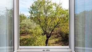 A window with a view of a tree and surrounding vegetation.