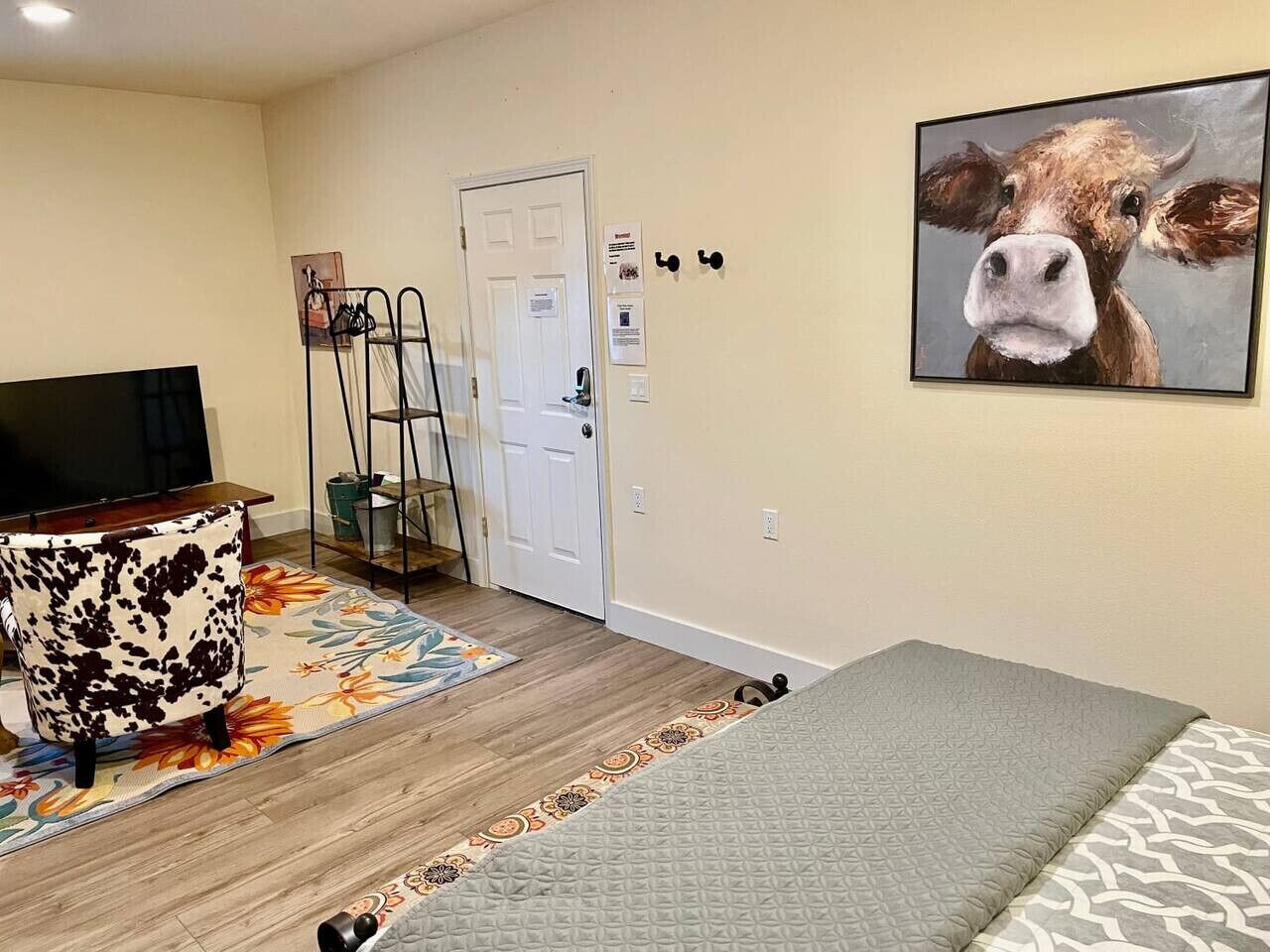 A room with a bed, a TV, a desk, and a door.