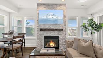 Smart TV, fireplace, books