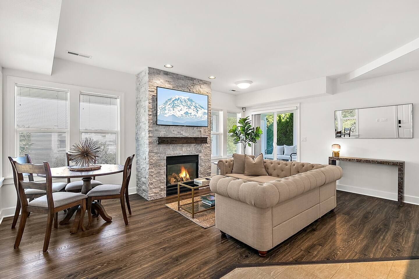 Smart TV, fireplace, books