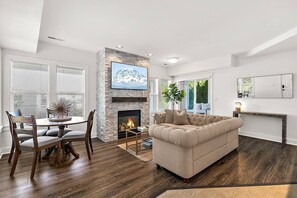 Smart TV, fireplace, books