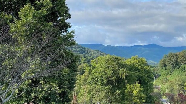 A picnic area with a bench and a mailbox, surrounded by lush greenery and mountains in the background. - Not available (Sylva)