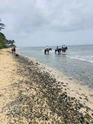 A beach with horses and riders along the shore.