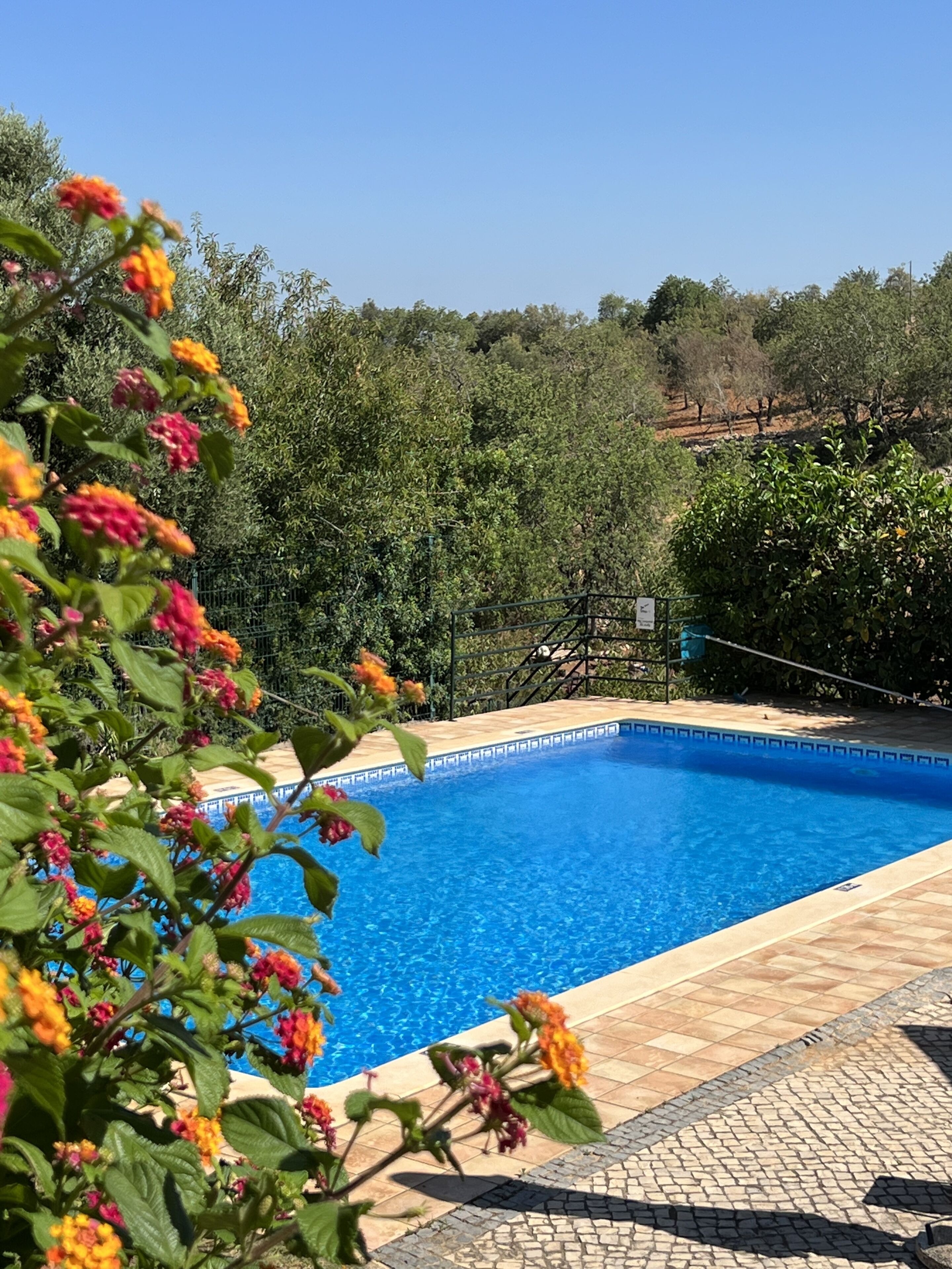 Piscine extérieure, parasols de plage, chaises longues
