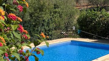Piscine extérieure, parasols de plage, chaises longues