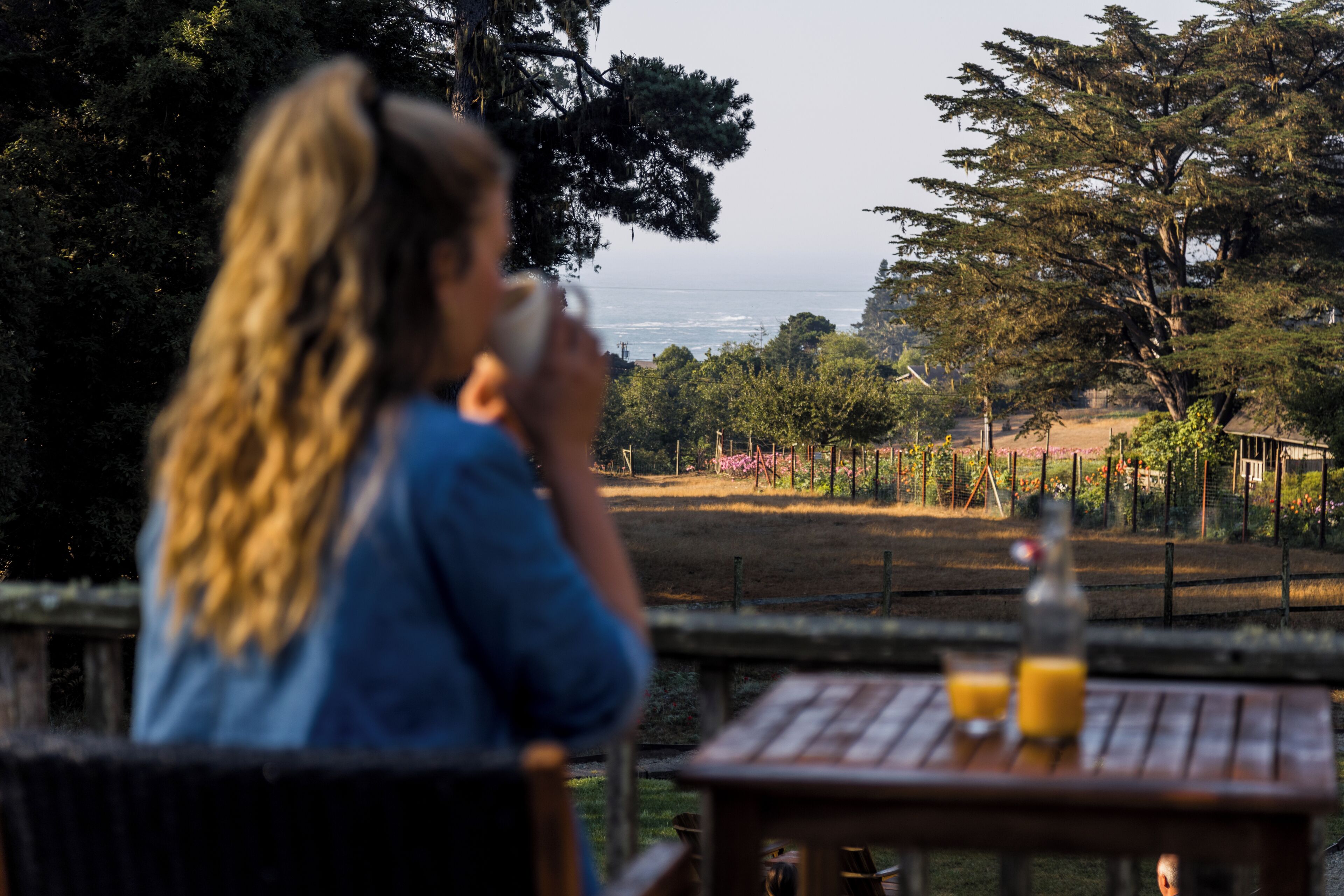 A person sitting at a table with a view of a landscape, including trees and a fence.