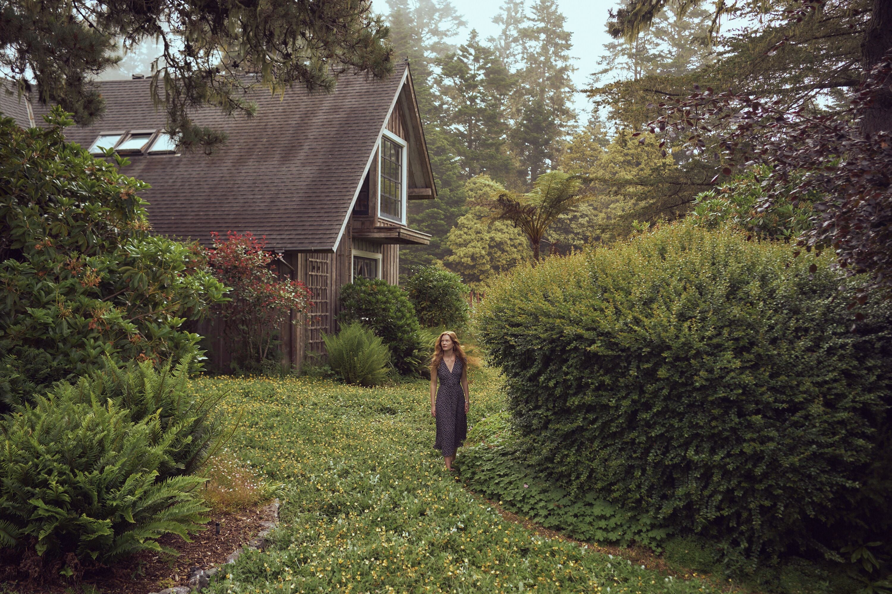 A house with a sloped roof, surrounded by dense greenery and a variety of plants.