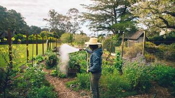 A person watering plants in a garden with a hose.