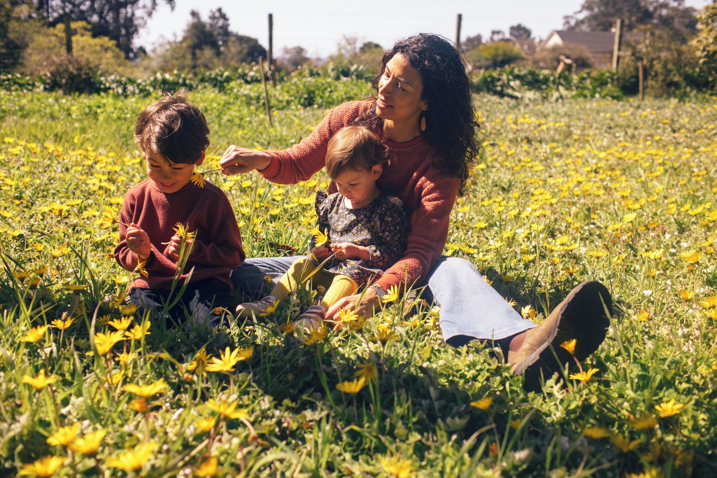 Una familia sentada sobre la hierba en un campo lleno de flores amarillas.