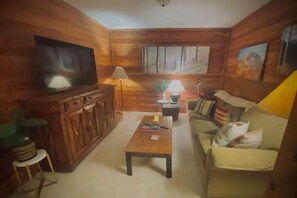 TV, computer monitors -  Exceptional majestic Rocky Mountain view's (Carbondale)