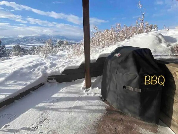 Property grounds -  Exceptional majestic Rocky Mountain view's (Carbondale)