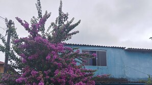 Un edificio azul con techo de tejas, un coche estacionado y un árbol en flor.