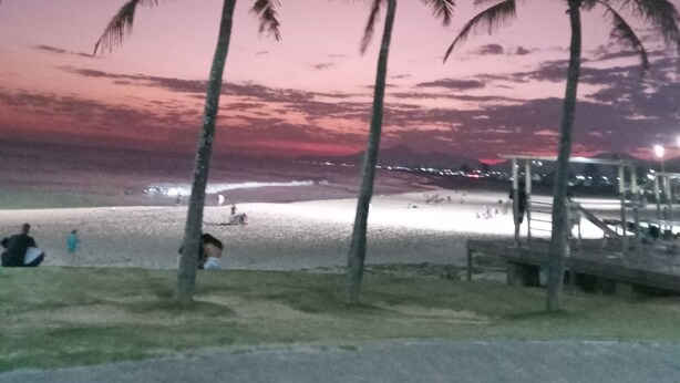 Escena de playa con palmeras y un atardecer.