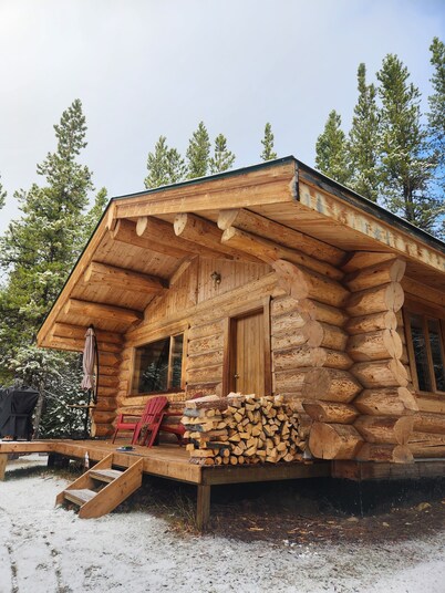 Pet-Friendly Off-grid Log Cabin, Hiking, Mountain Air and Dark Skies Await!