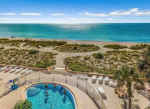A pool area with a view of the ocean, surrounded by lounge chairs and a palm tree.