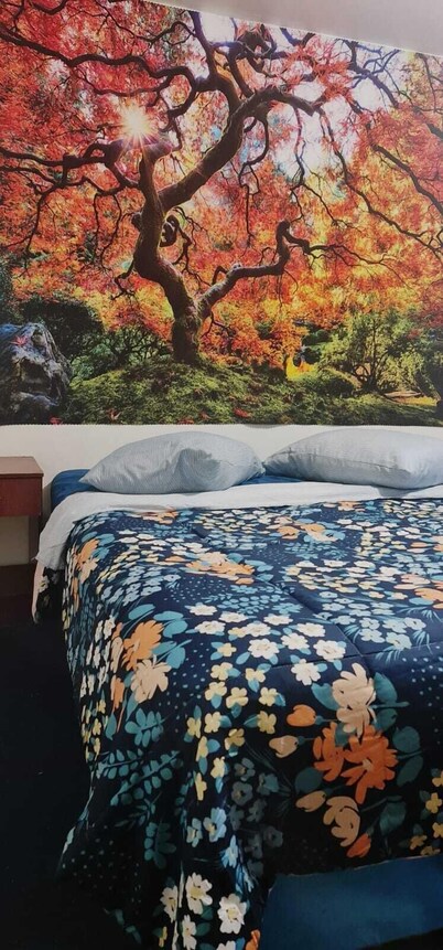 埃尔瓦列