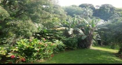 Stay in Hana #1