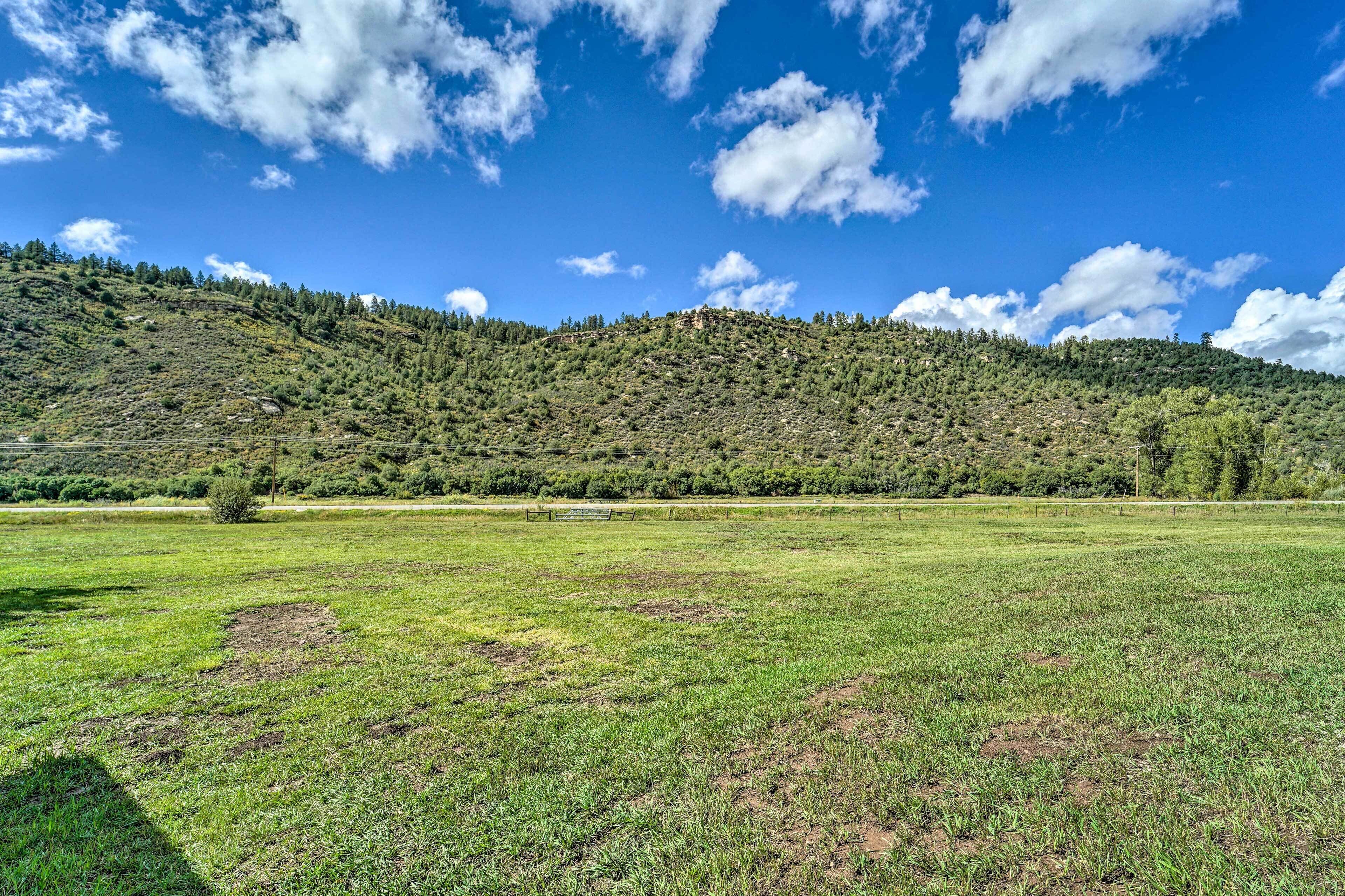 A grassy field with a hill in the background.