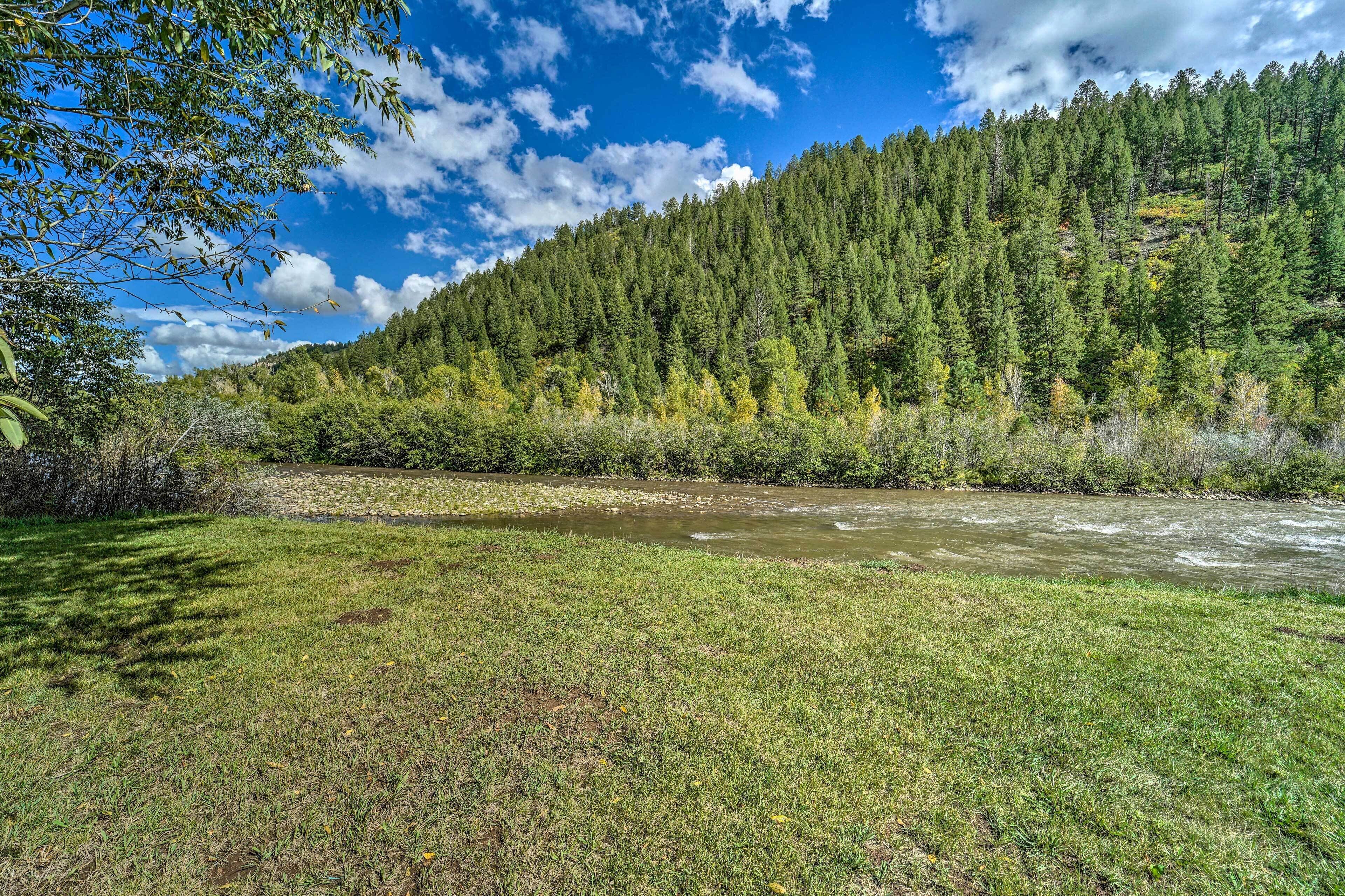A river flowing through a grassy area with a forested hill in the background.