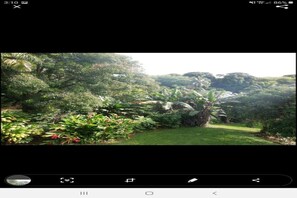 Miscellaneous - Stay in Hana #2 (Hana)