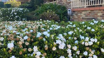 DĂ©tail de lâextĂ©rieur