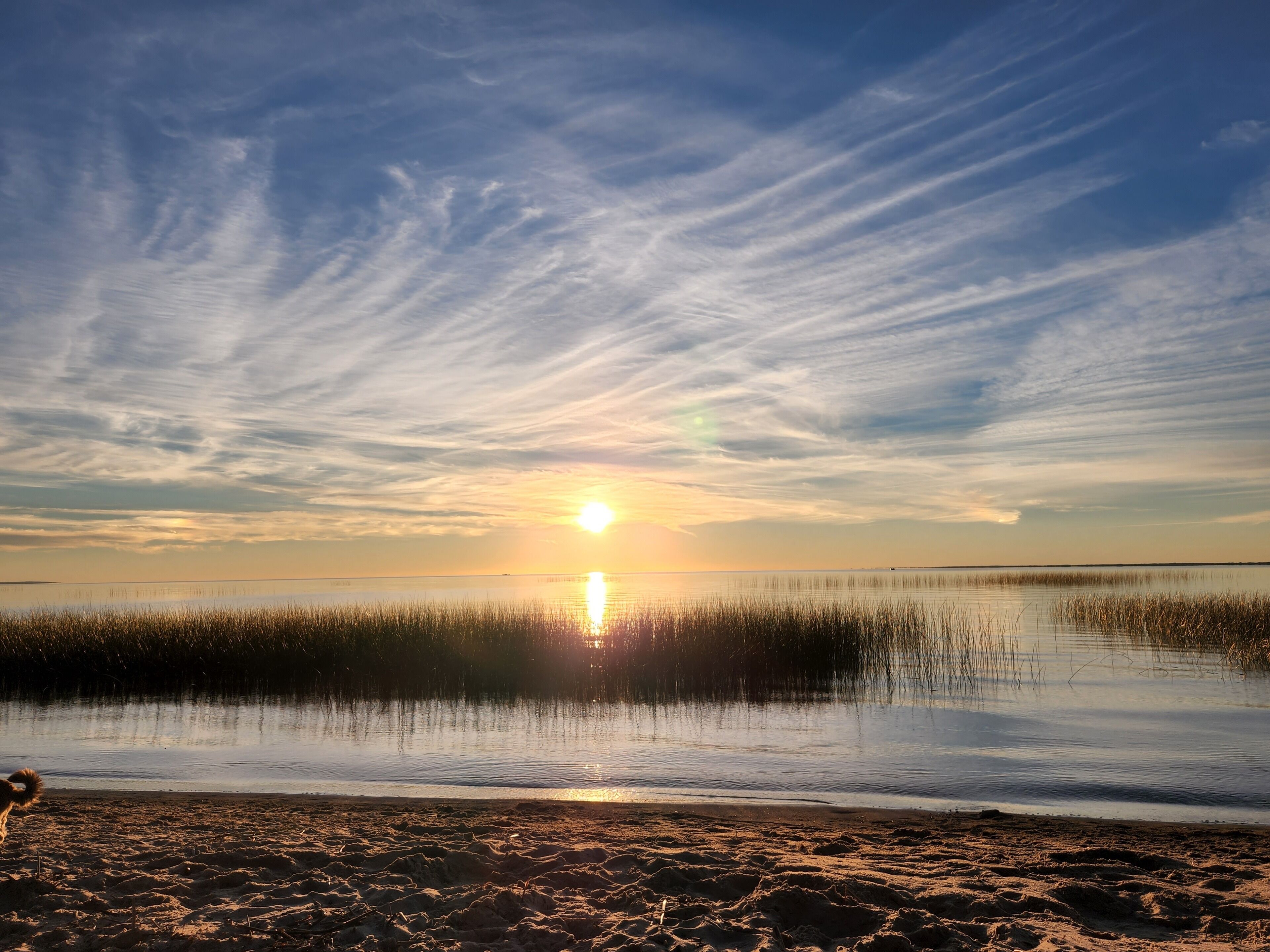 På stranden, solsenger og strandhåndklær