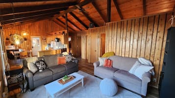 Smart-tv, een open haard, boeken en een filmbibliotheek
