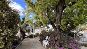 A garden patio with a large tree, potted plants, and outdoor furniture.