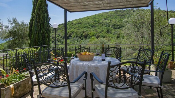 A covered outdoor patio with a table and chairs, surrounded by greenery and a view of a hillside.