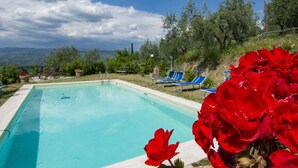 A swimming pool with clear blue water, surrounded by blue lounge chairs and red flowers in the foreground.