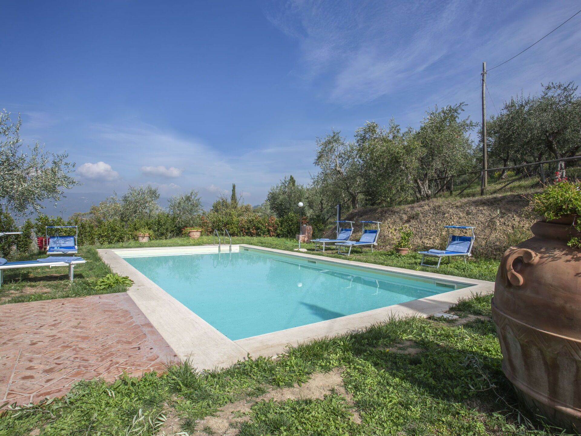 A rectangular pool with a clear blue poolside area, surrounded by greenery and a hillside.