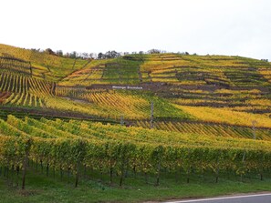 บ้านพัก (Mein Mosel-Chalet, Haus Birke) | บริเวณภายนอก