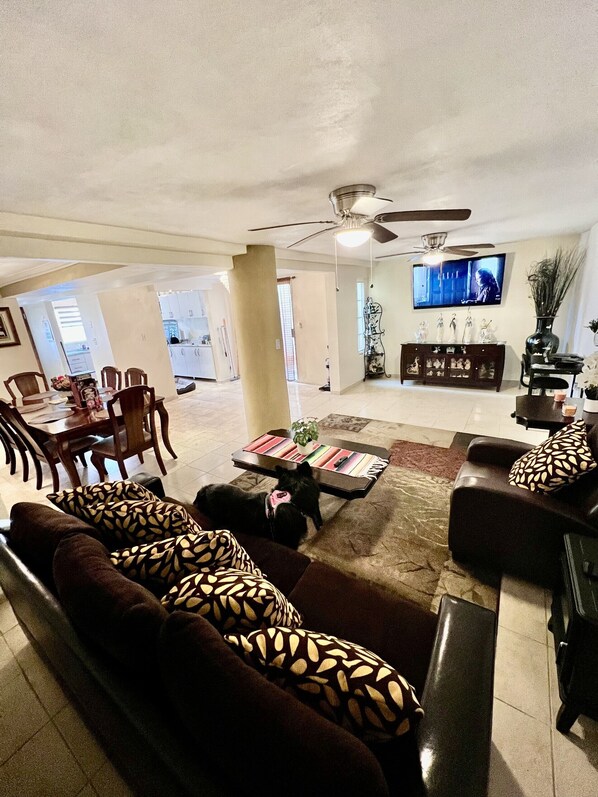 Smart TV, stereo, computer monitors