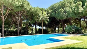 Une piscine rectangulaire à l’eau d’un bleu limpide, entourée d’une pelouse bien entretenue et d’arbres.