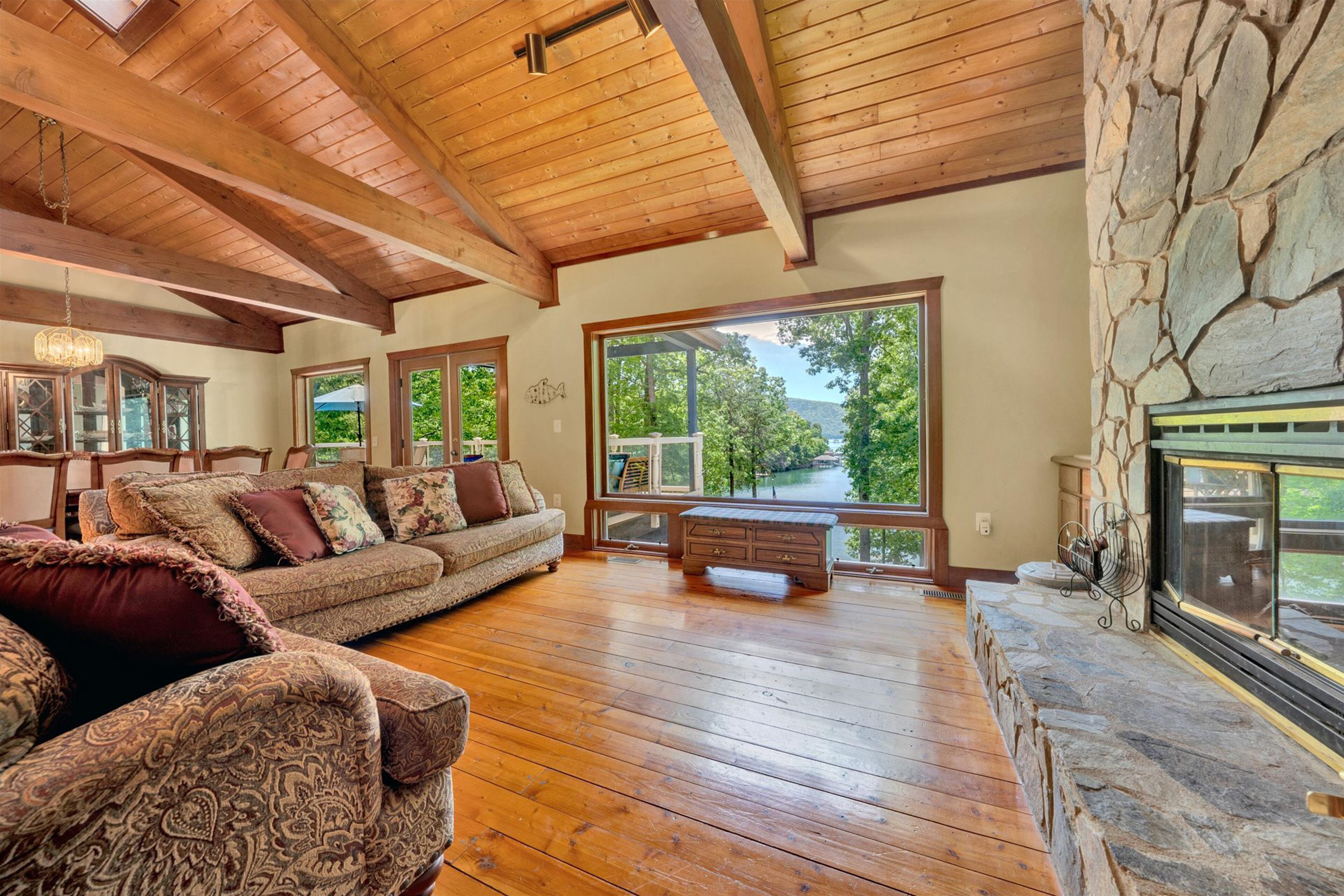 TV, DVD player, books, video library