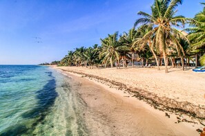 Am Strand