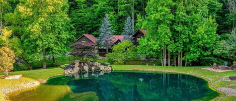 Indoor pool, outdoor pool