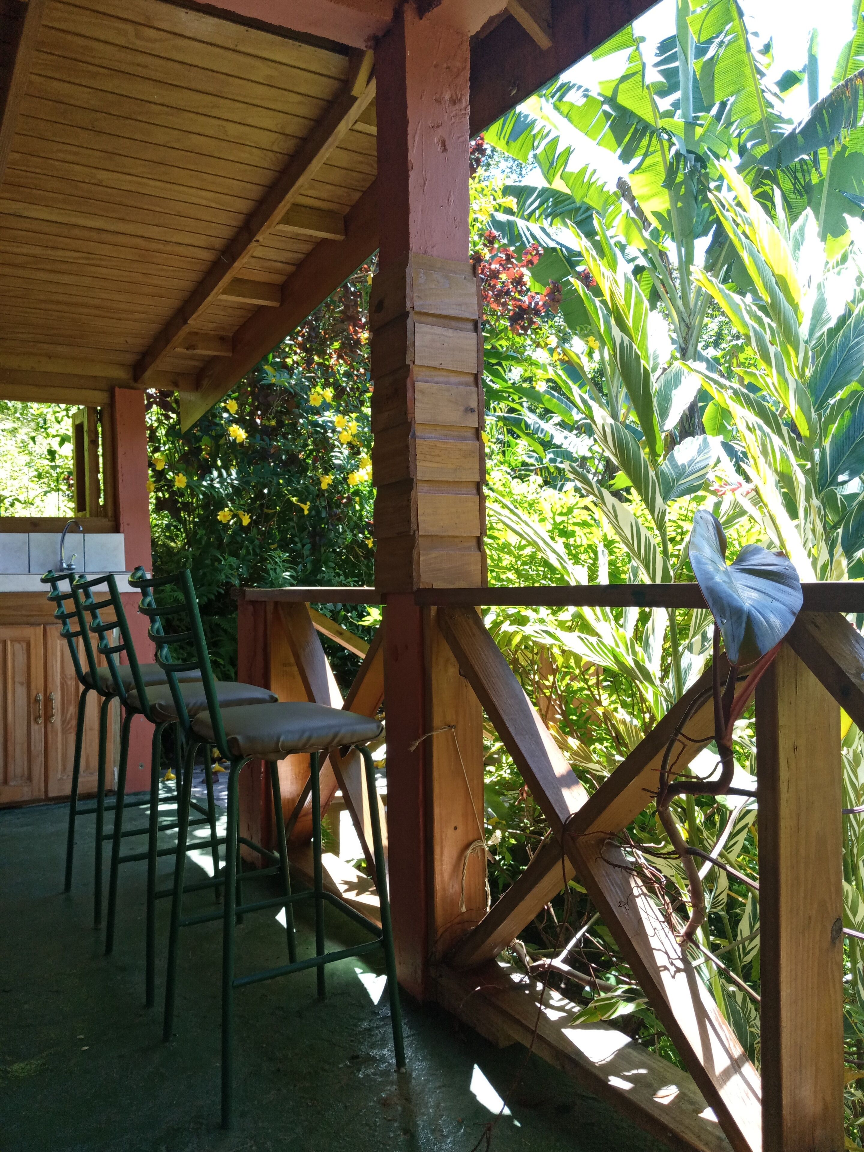 Una terraza de madera al aire libre con sillas de metal y una mesa, rodeada de exuberante follaje y plantas de banano.