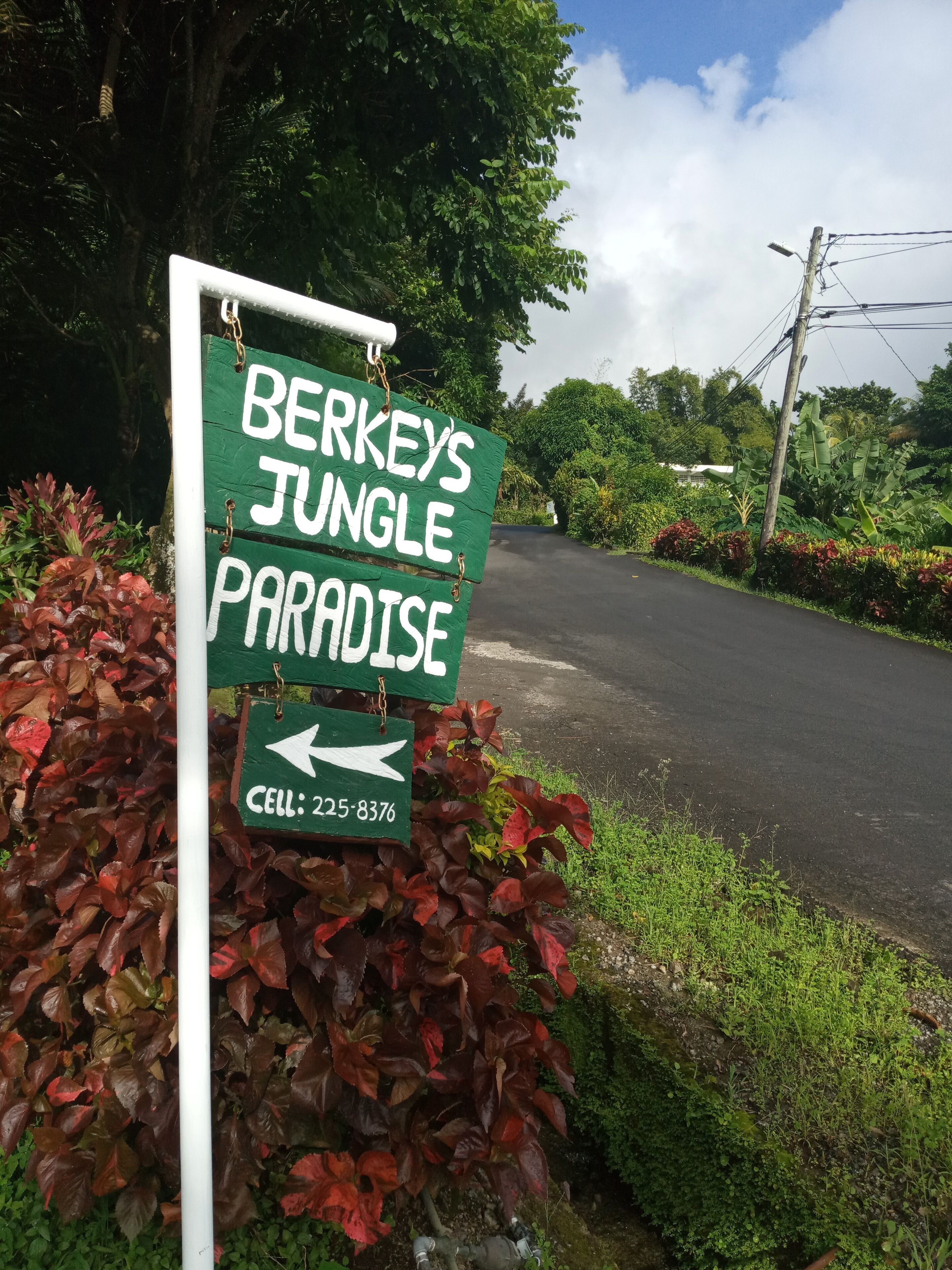 A sign for "Berkey's Jungle Paradise" with a directional arrow and a contact number.