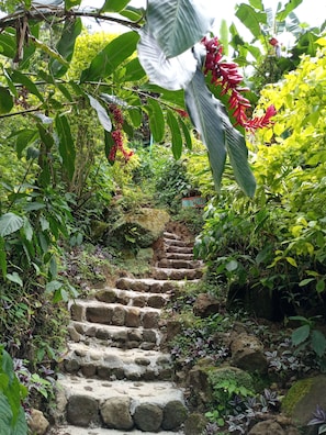 A stone staircase surrounded by lush greenery and plants.