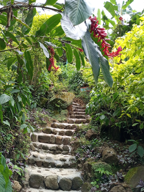 Vista frontal de la propiedad