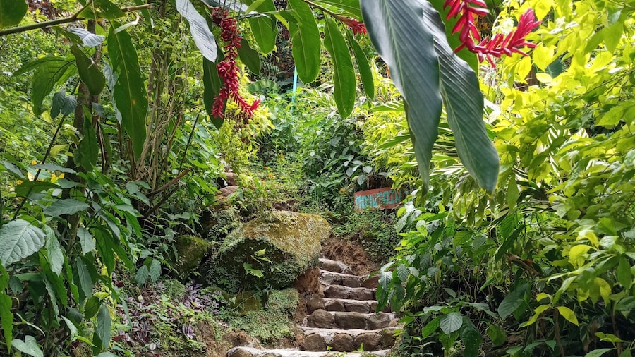 Berkey's Jungle Paradise