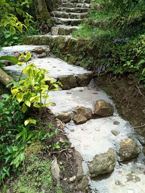 Front of property - Berkey's Jungle Paradise (Roseau)